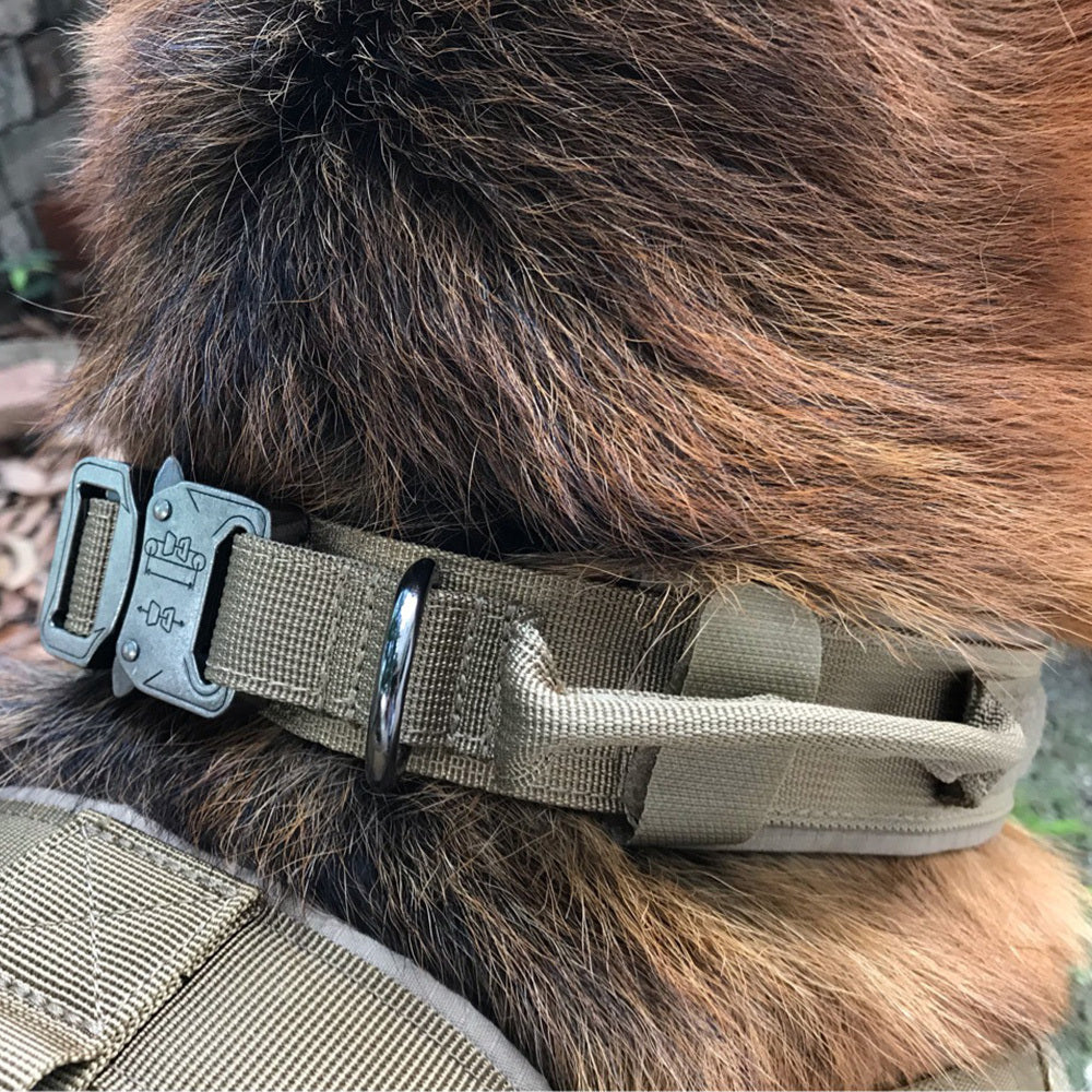 Durable Tactical Dog Collar - Comfortable for Training & Everyday Use