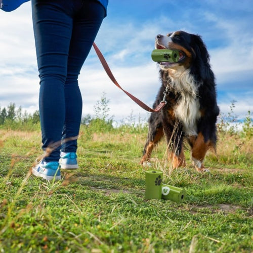 Biodegradable Dog Waste Bags - Heavy Duty & Eco-Friendly